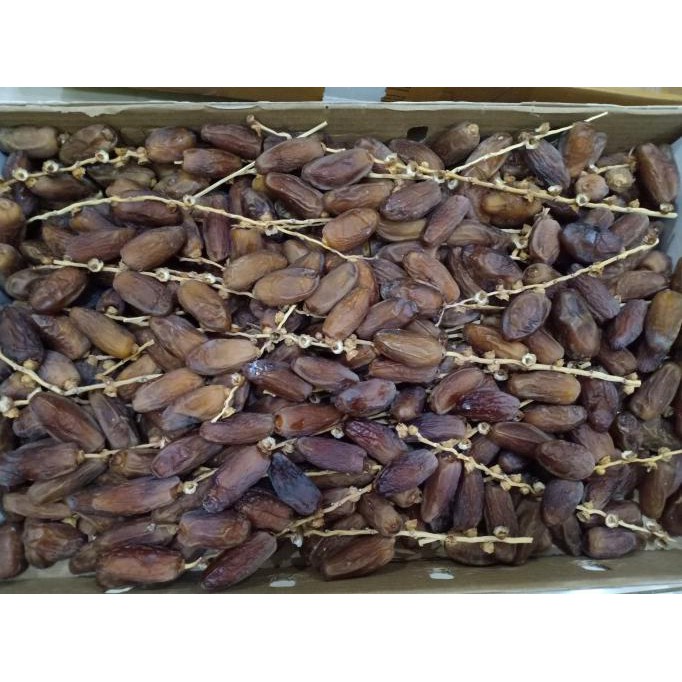 

Kurma Manis / Buah Kurma / Kurma Palmfruit Tunisia Tangkai Kemasan Curah - 500 Gram Ready