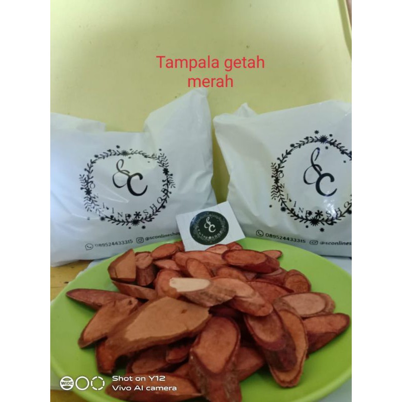 

tempala getah merah masih utuh asli Kalimantan