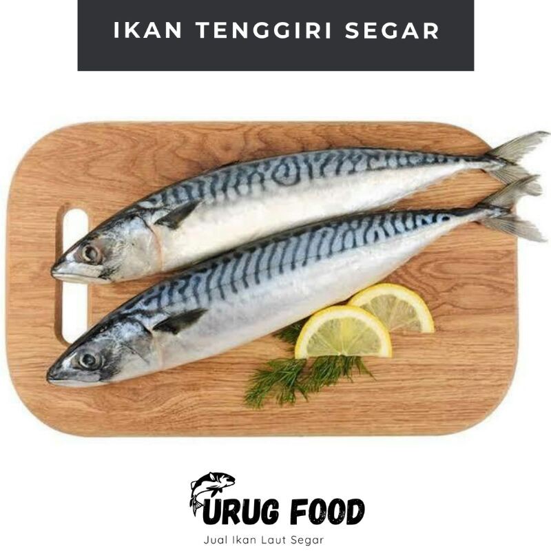 

URUG FOOD - IKAN TENGGIRI SEGAR