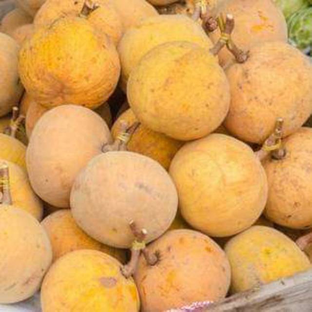 

Buah kecapi 500grm PROMO