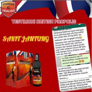 British Propolis 100% Original Obat Herbal Dewasa Dan Anak Paket Murah 3 Botol