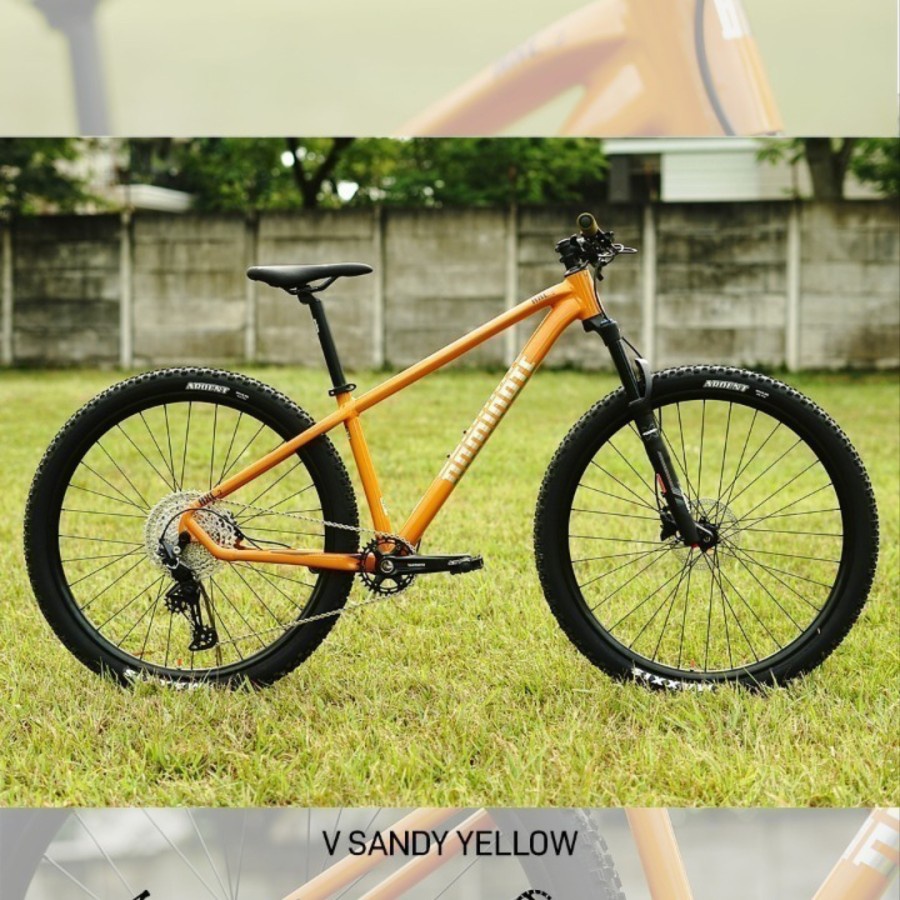 Sepeda Gunung MTB 29 Dominate AXC-2 Elite 12 Speed