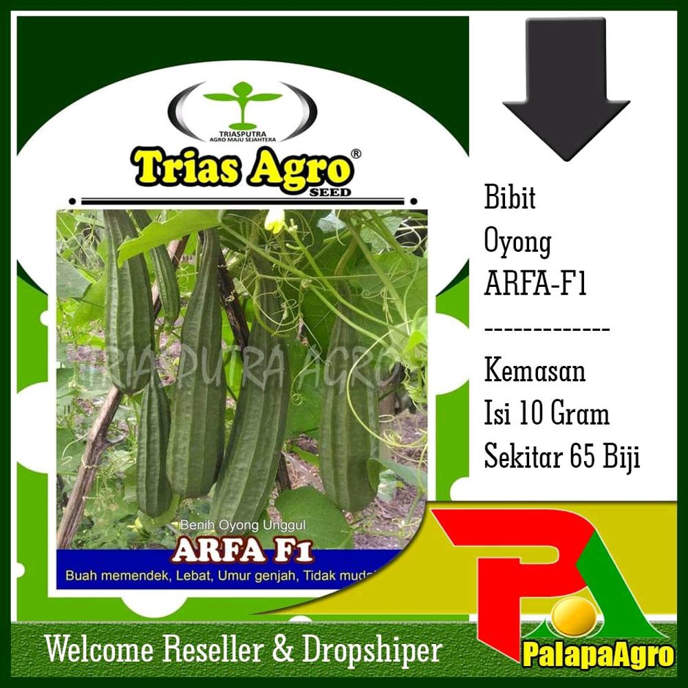 Benih Oyong F1 ARFA & Bibit Oyong Unggul Berkualitas