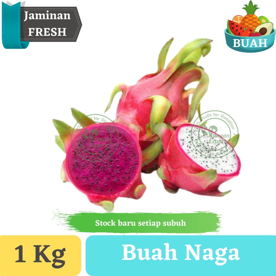 

Buah Naga Dragon Fruit