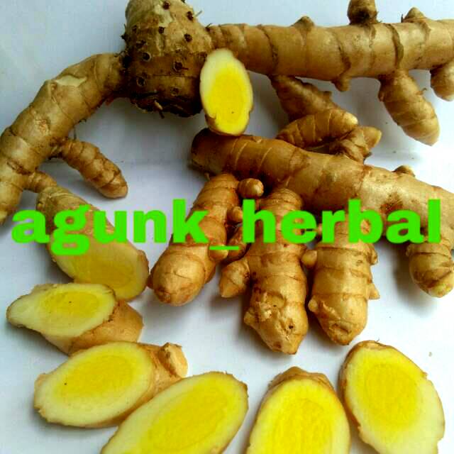 

Kunyit Putih Segar Organik 1kg (temu putih glenyeh/curcuma zedoaria)