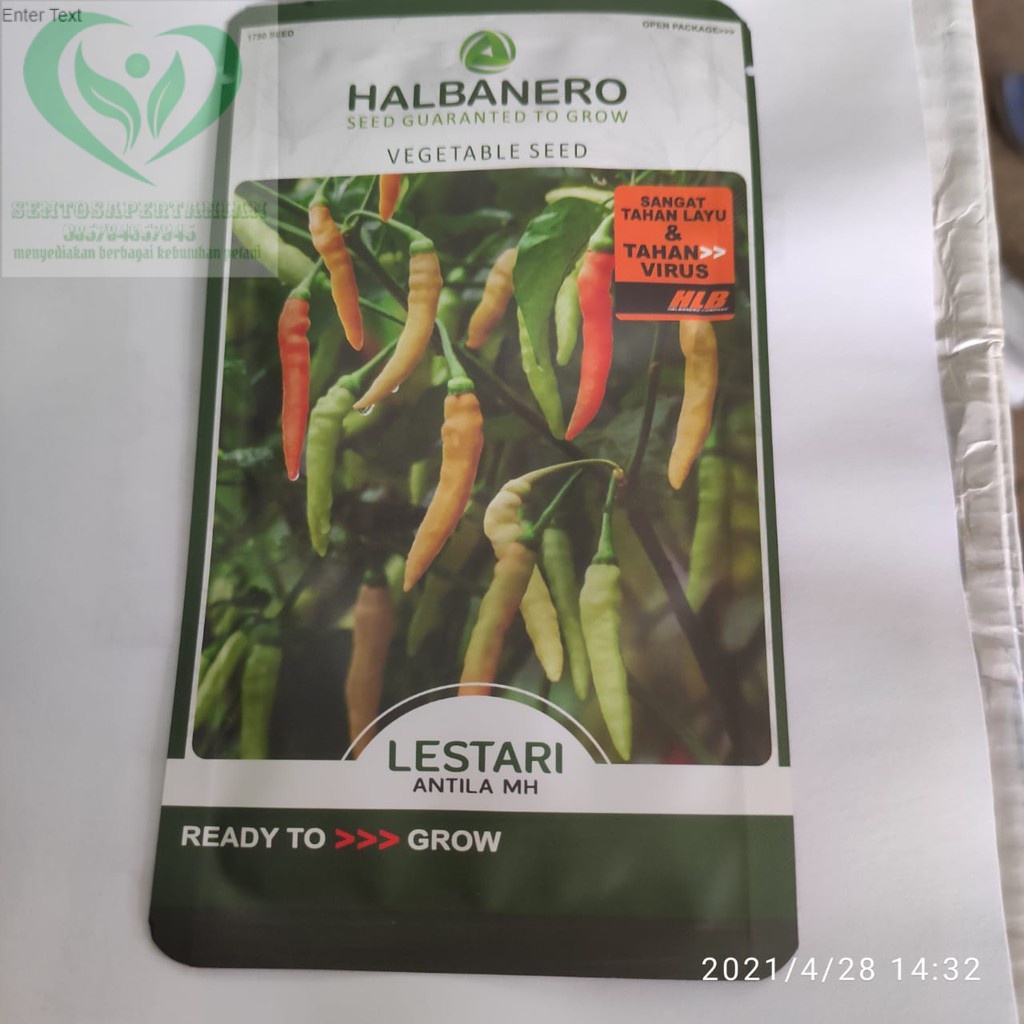 Benih cabai rawit LESTARI isi 10gram dari HALBANERO