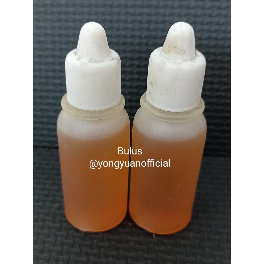 Essen bulus biang murni oil base