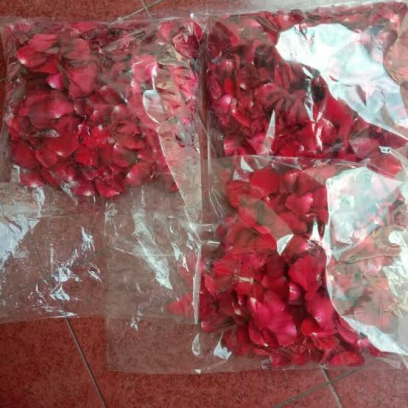 Kelopak Bunga Mawar Asli Segar Kelopak Mawar Merah red rose petals