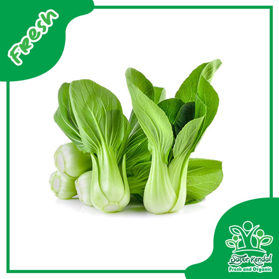 

Fresh Pakcoy Segar Organik - Sayur Kendal