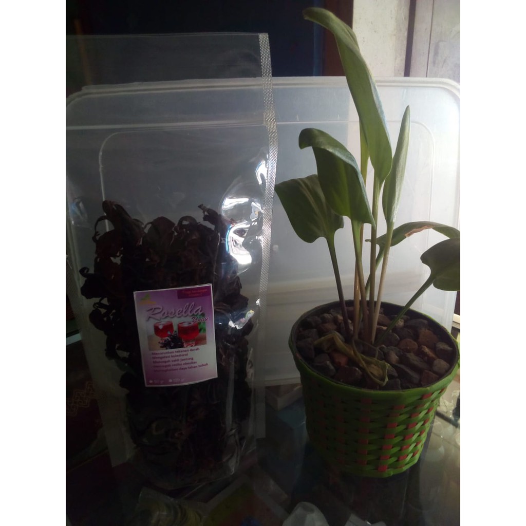 

Teh Rosela Ungu