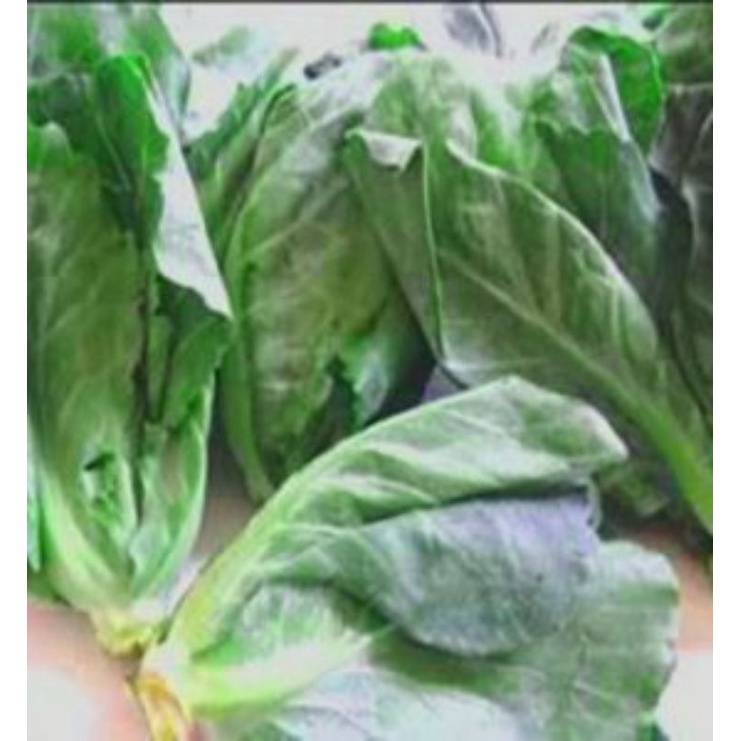 

Sayur Keciwis Segar per 250 grm SAYUR PRAKTIS ONLINE