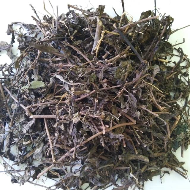 

Daun Kumis Kucing Kering 500gr / Herbal Kumis Kucing Asli Murni