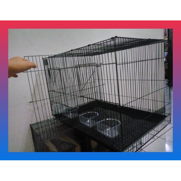 KANDANG BURUNG BESI SEKAT UNTUK TERNAK ATAU PENJODOHAN