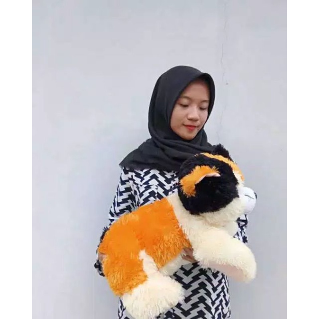 bobeka kucing size:L