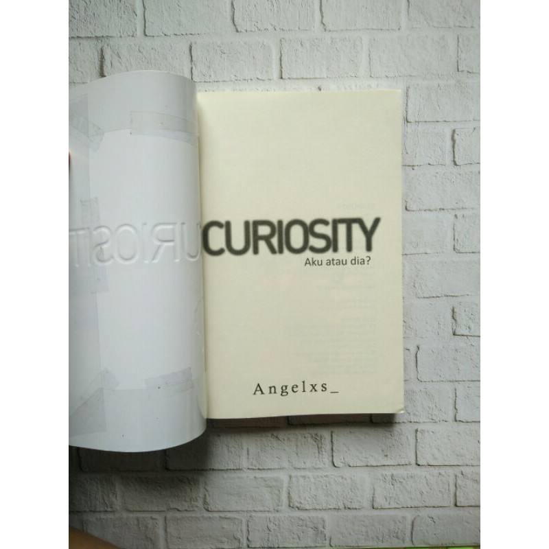 [preloved novel] best seller curiosity by angelxs