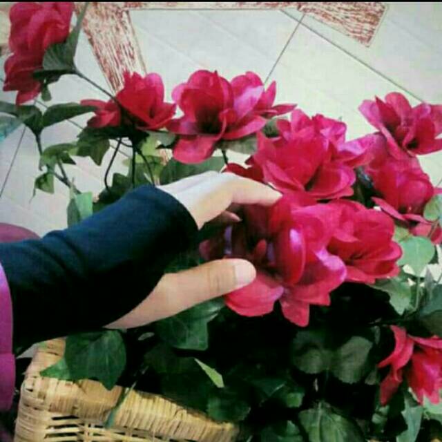 Handsock Jempol /Handsock Wanita/ Manset Tangan /handsock  jempol polos/ sarung tangan wanita