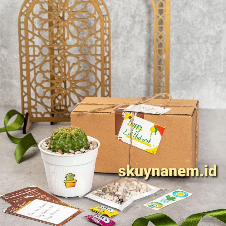 Terbagus.. Hampers Birthday Graduation Kado Giftbox Kaktus Hadiah Ulang Tahun Aesthetic