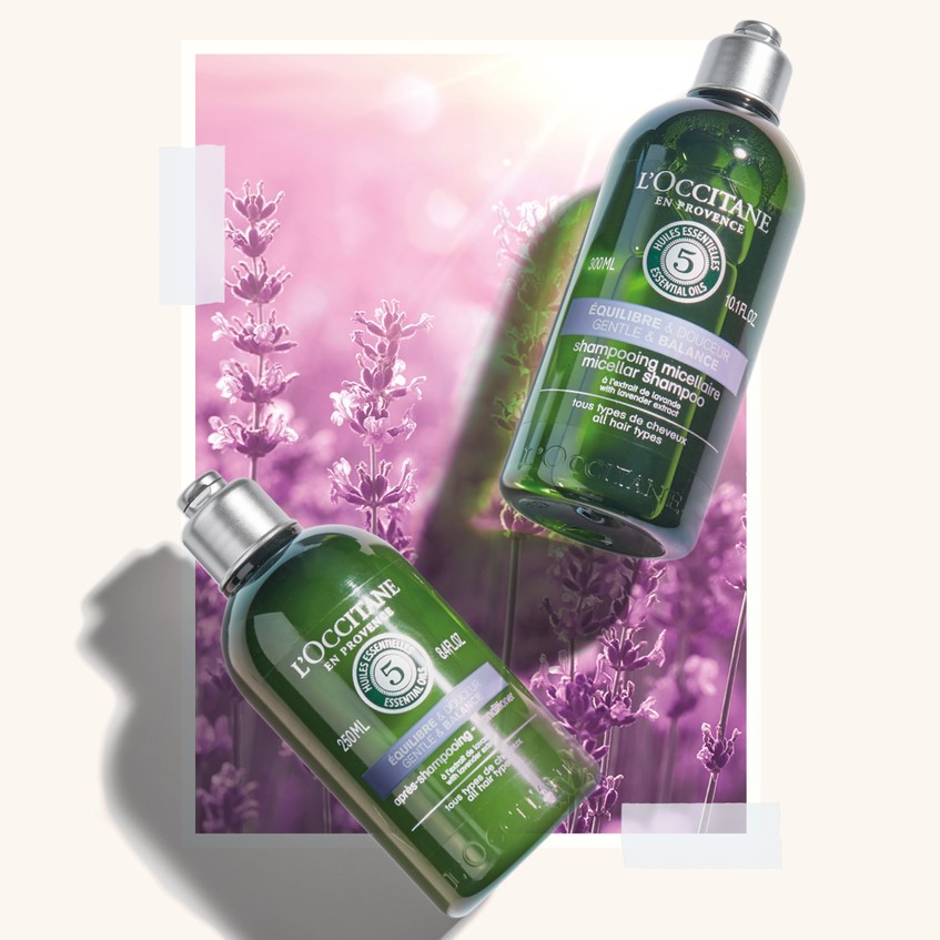 L'Occitane Aromachologie Gentle & Balance Micellar Shampoo 300ml-1