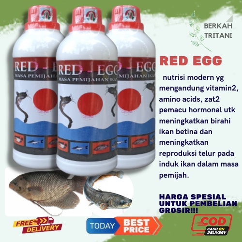 RED EGG 500 ml - Meningkatkan Birahi Dan Reproduksi Telur Ikan (Untuk Pemijahan)