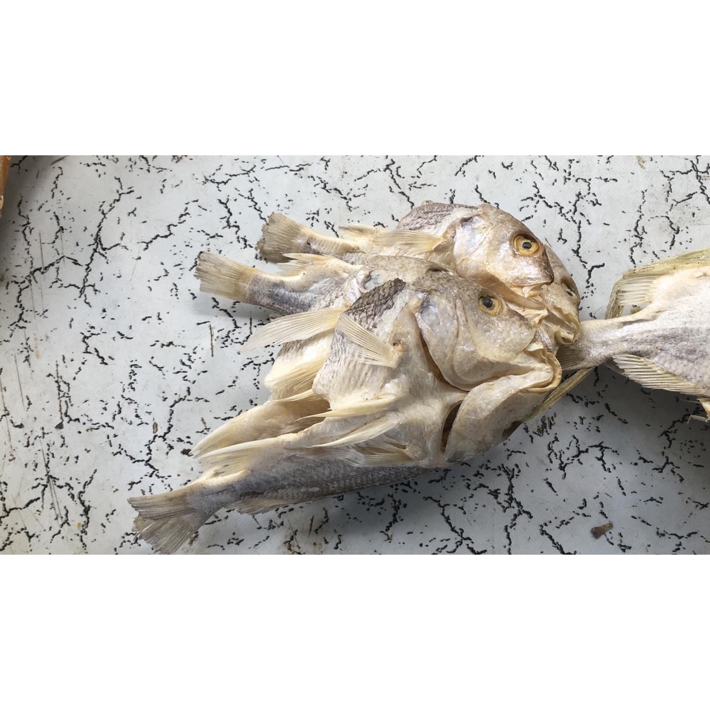 

Ikan Asin Kepala Batu