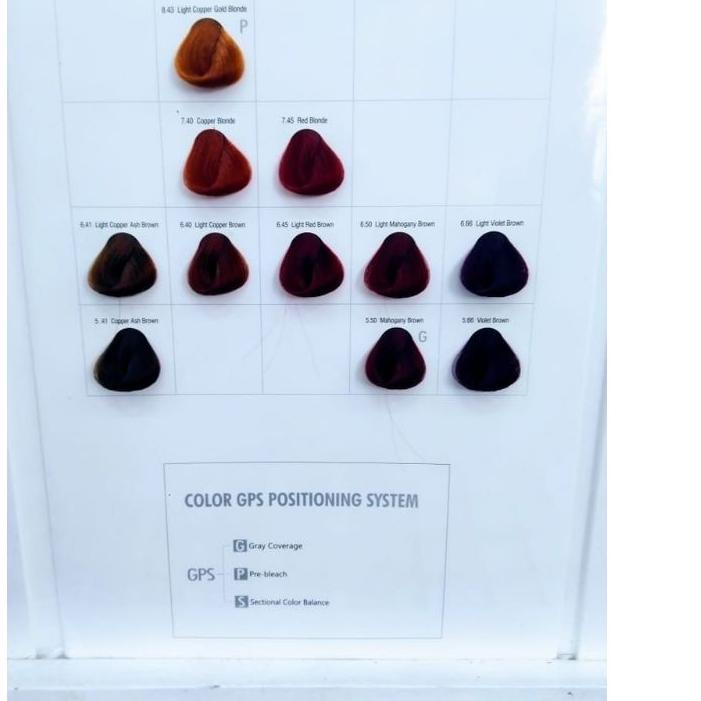 ❂ FELICE Miracle Hair Color 100ml / Felice Hair Color cat rambut ☃