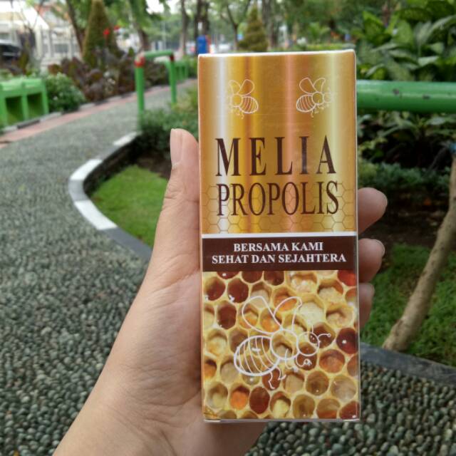 Propolis Melia 55ml PT MELIA SEHAT SEJAHTERA ori member resmi