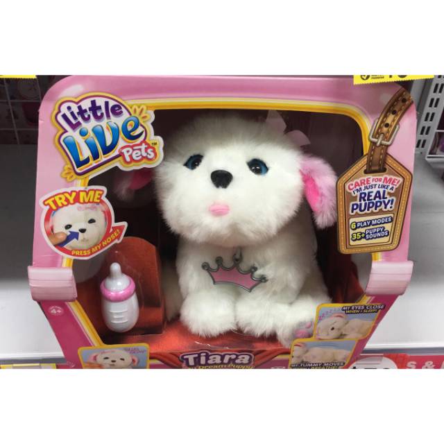 little live pets dream puppy