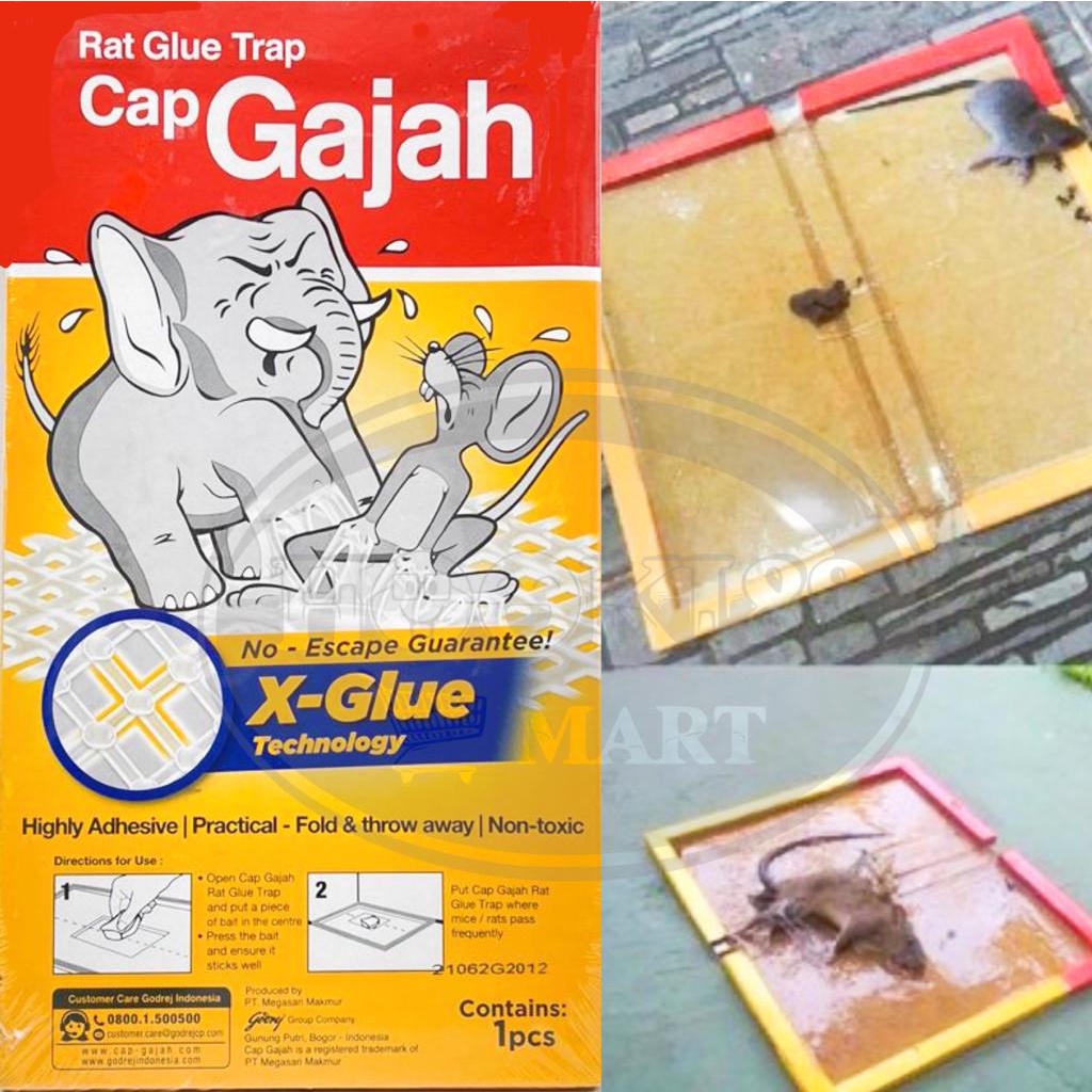 Lem Tikus Papan Import Cap Gajah / Lem Ajaib Perangkap Tikus