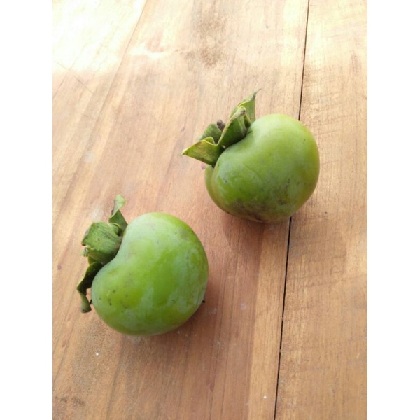 

Buah Kesemek Segar