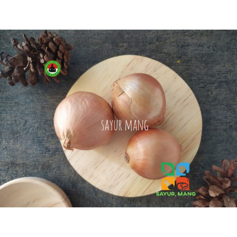 

Bawang Bombay I Sayur Mang