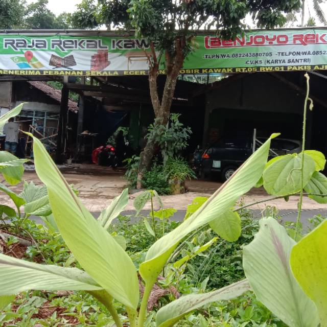 tubagusagus92