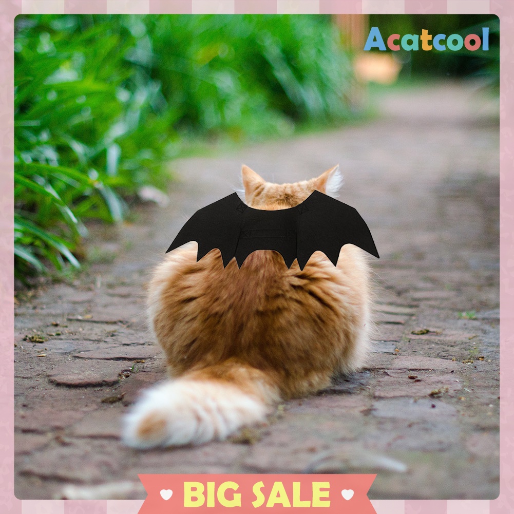 Pet Bat Wing Cosplay Prop Halloween Black Bat Fancy Dress up Costume Outfit