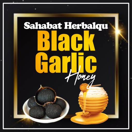 BAWANG MADU BLACK GARLIC BAWANG HITAM TUNGGAL BAWANG TUNGGAL BAWANG FERMENTASI BAWANG GARLIC HITAM MADU