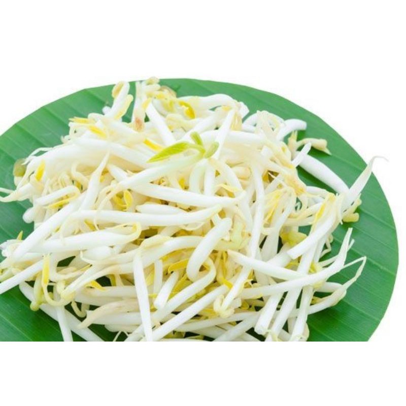 

tauge 200gr / sayuran segar bogor