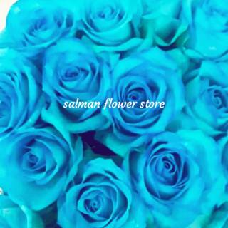 Bunga Mawar Blue Rose Mawar Biru Bunga Mawar Bunga Potong Mawar Potong Bunga Cantik Shopee Indonesia