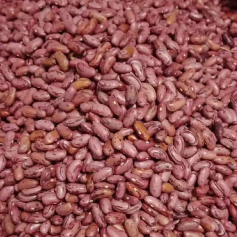

kacang merah lokal 500gr