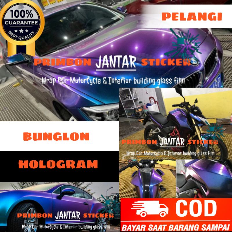 Harga Skotlet Bunglon Putih Terbaru Agustus 2021 Biggo Indonesia