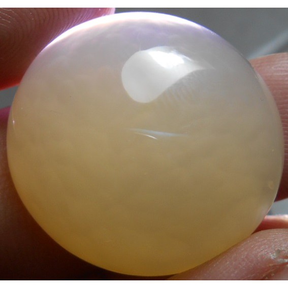 Akik Siwalan Pacitan Serat Punggung Kura Gambar Otak