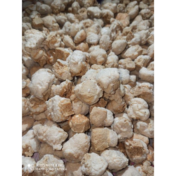 

BATAGOR MINI KERING ISI 1000 BUTIR atau 1 BAL MR ELFATIH / BATAGOR MINI KERING IKAN ORIGINAL / TOPING SEBLAK / BASO ACI / BASO IKAN / MIE BAKSO / MAKANAN BERKUAH / MIE INSTAN REBUS atau GORENG / CEMILAN / RENYAH, GURIH, ENAK, HALAL.