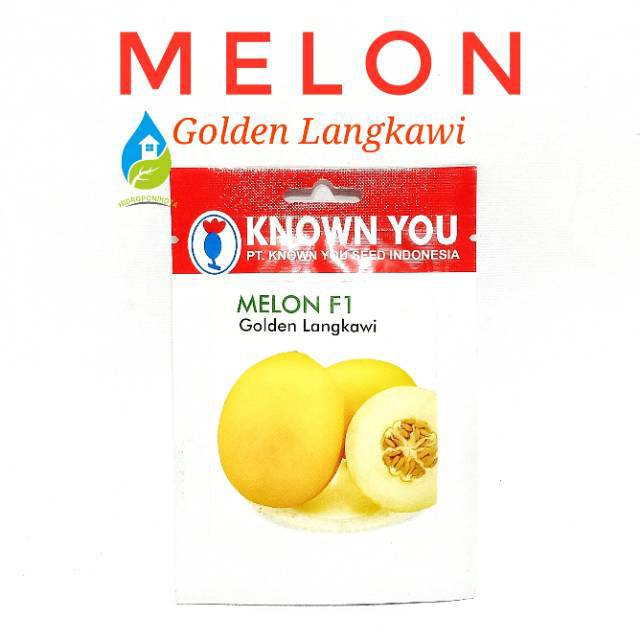 KYS - benih MELON GOLDEN LANGKAWI isi 5 biji - benih melon kuning - benih melon langkawi - known you seed