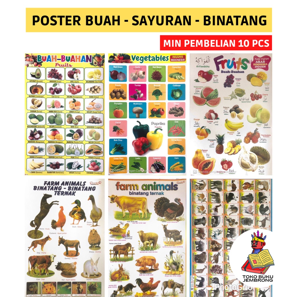 POSTER BUAH BUAHAN POSTER NAMA BINATANG POSTER SAYURAN POSTER TRANSPORTASI POSTER NAMA IKAN POSTER M