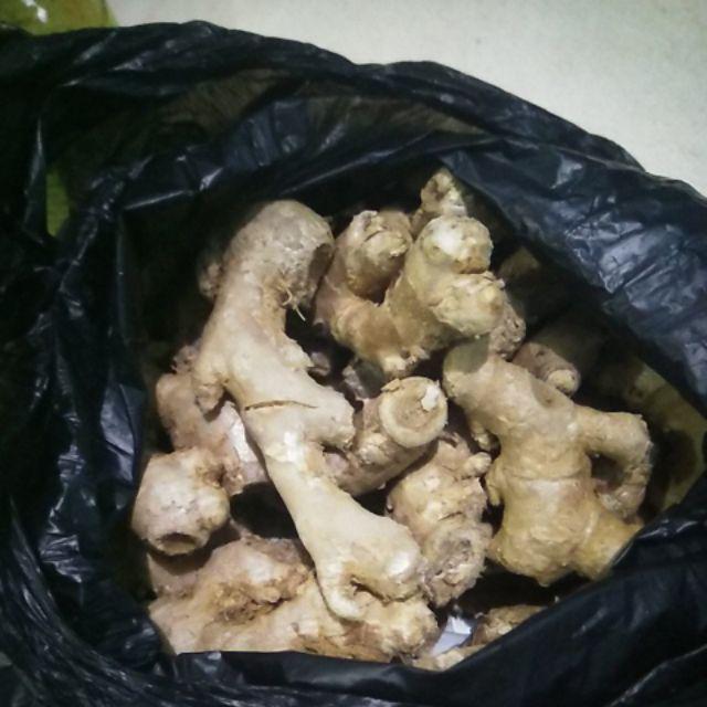Jahe Emprit 1/2 Kg
