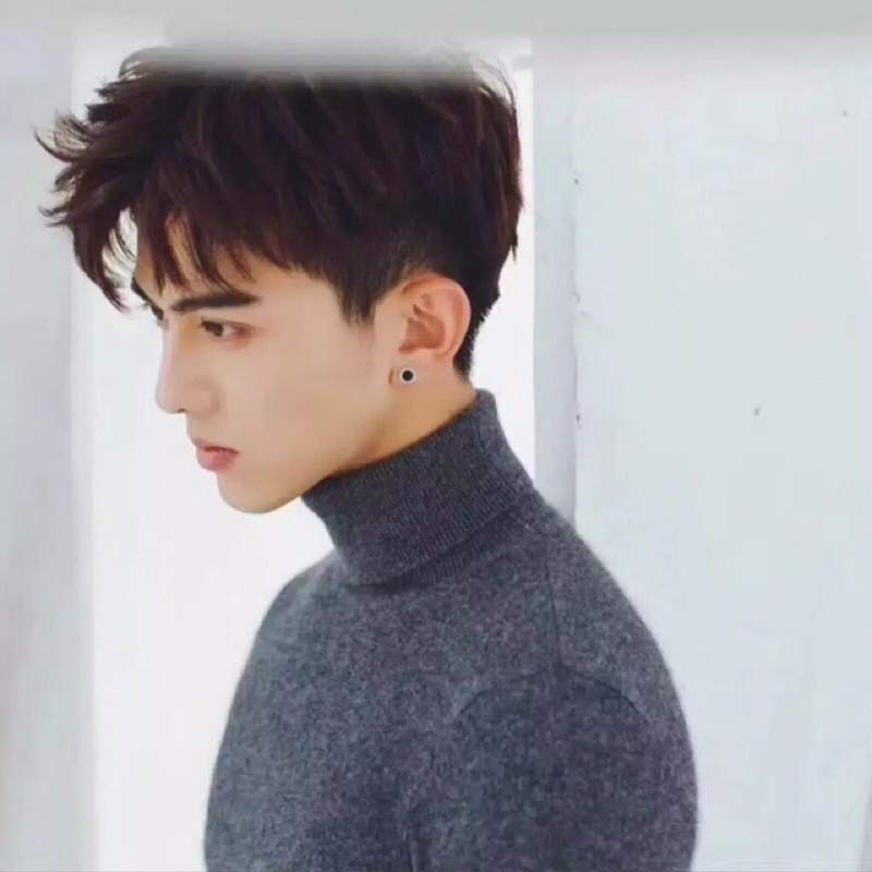 ANTING TITANIUM SILVER STUD KOIN ROMAWI