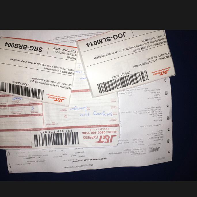 BACK BIBIT JAMBU AIR KING ROSE KINGROSE APPLE JUMBO UNGGUL SUPER MANIS PKL