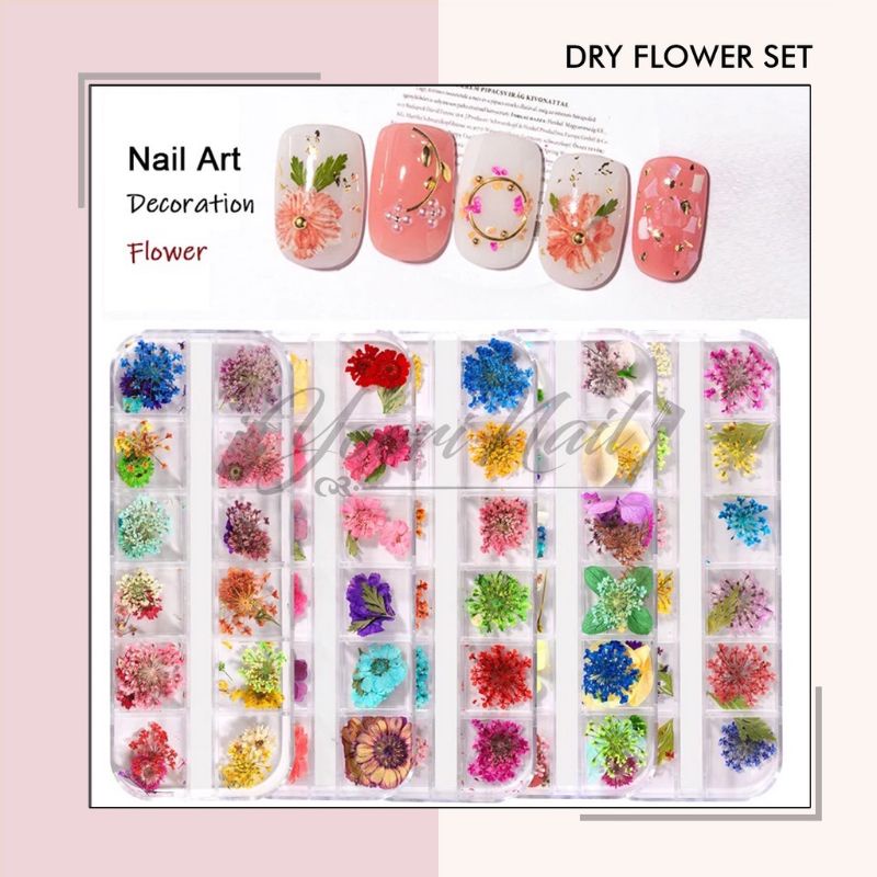 Dry flower nail art hiasan kuku bunga kering 12 warna dried flowers