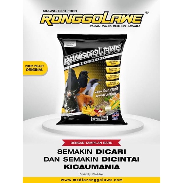 Voer ronggolawe more result