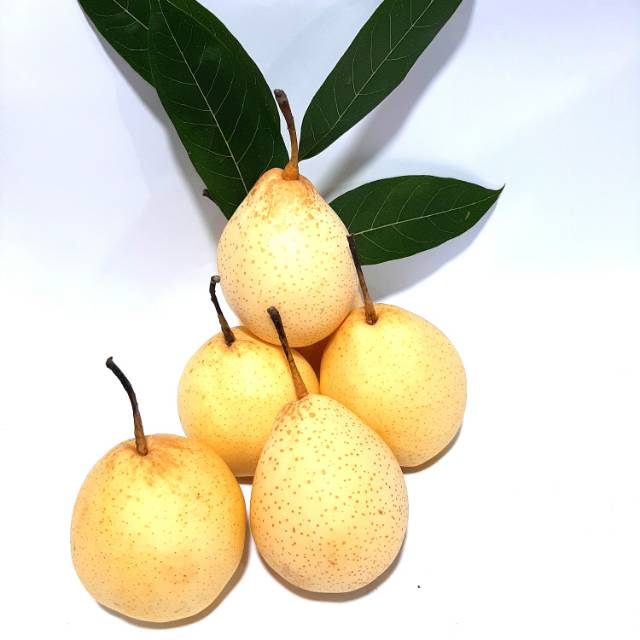 Pear yalie