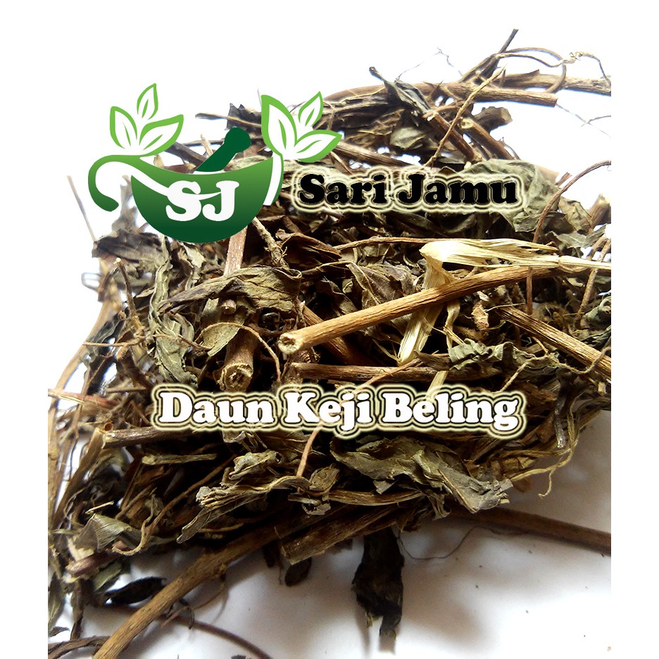 

Jamu Herbal Tradisional Daun Keji Beling 100 Gr Untuk Batu Ginjal