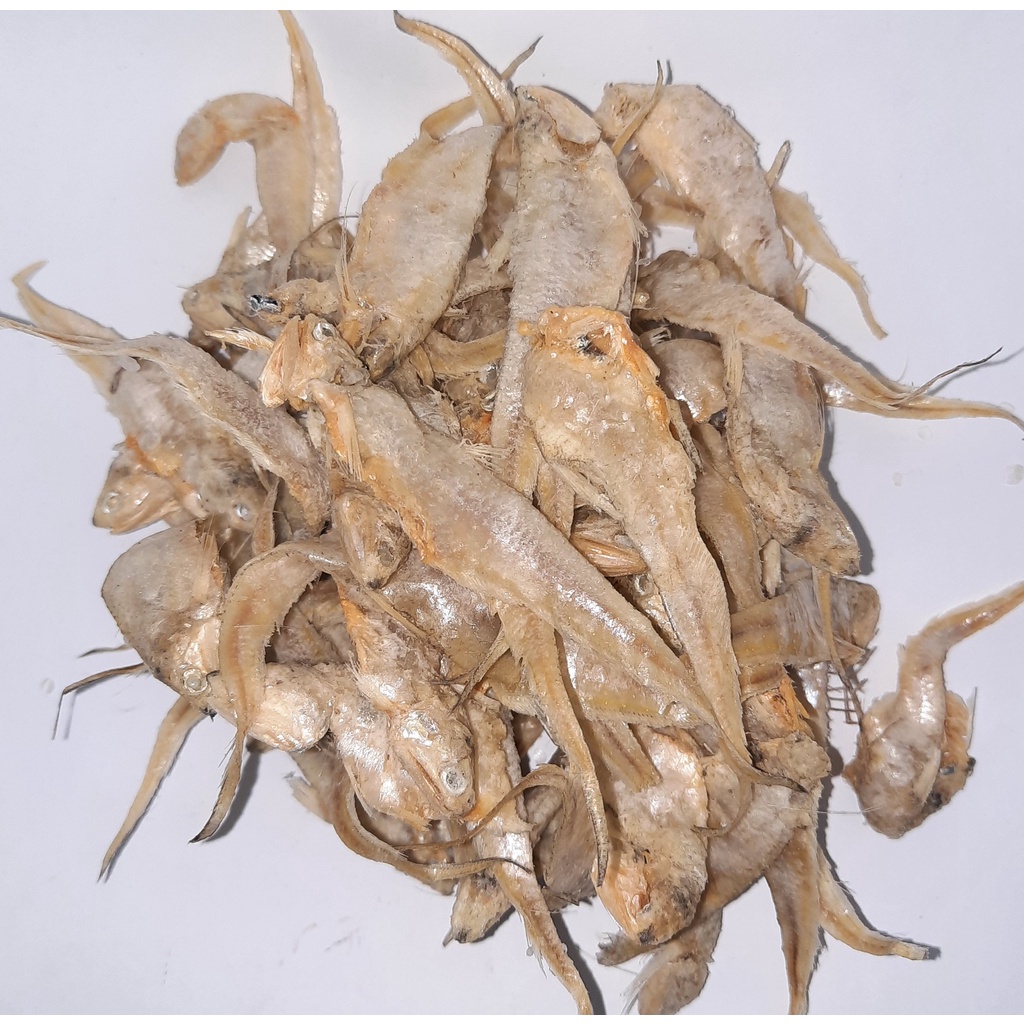

Ikan Asin Usam/Bulu Ayam