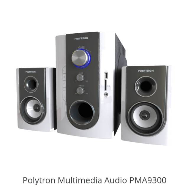Polytron Multimedia Audio PMA 9300